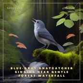 Blue-gray Gnatcatcher Singing Near Gentle Forest Waterfall