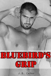 Bluebird s Grip: Gay Romance