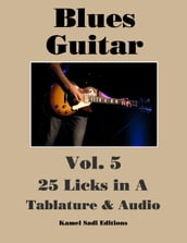 Blues Guitar Vol. 5