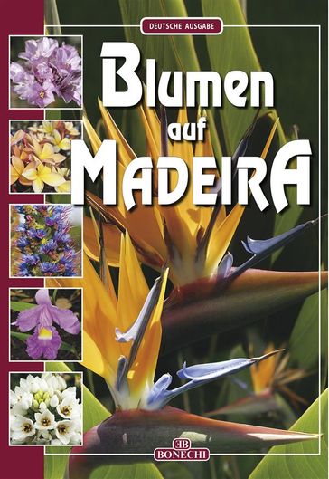 Blumen auf Madeira - Andrea Innocenti