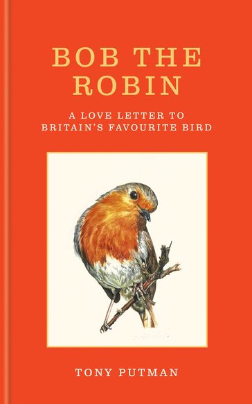 Bob the Robin - Tony Putman