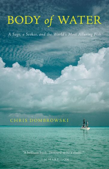 Body of Water - Chris Dombrowski