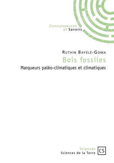 Bois fossiles - Ruthin Bayélé-Goma