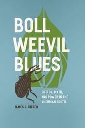 Boll Weevil Blues