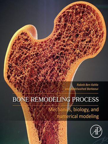 Bone Remodeling Process - Abdelwahed Barkaoui - Rabeb Ben Kahla
