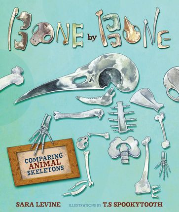 Bone by Bone - Sara Levine