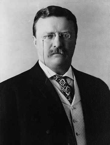 A Book-Lover's Holidays in the Open - Theodore Roosevelt