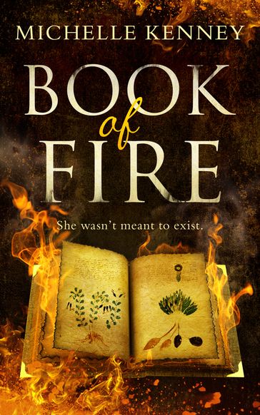 Book of Fire (The Book of Fire series, Book 1) - Michelle Kenney