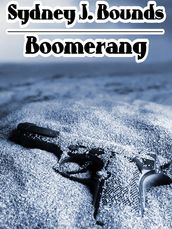 Boomerang: A Crime Novel