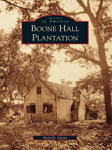 Boone Hall Plantation - Michelle Adams