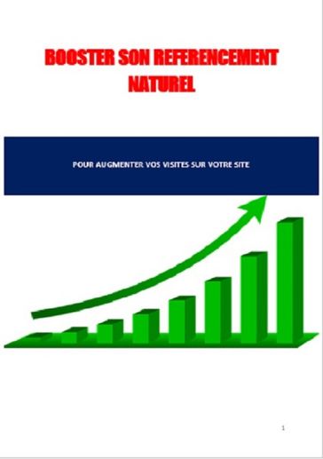 Booster votre référencement naturel - Nicolas Guillot