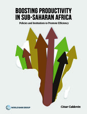 Boosting Productivity in Sub-Saharan Africa