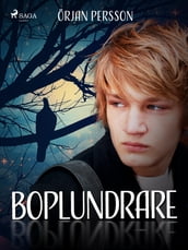 Boplundrare