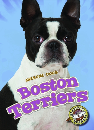 Boston Terriers - Christina Leaf