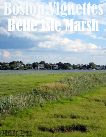 Boston Vignettes: Belle Isle Marsh - Phillip Ryan