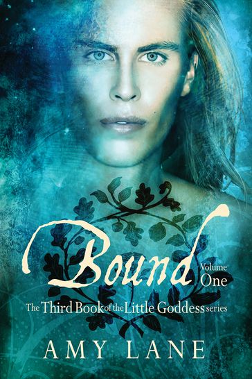 Bound, Vol. 1 - Amy Lane