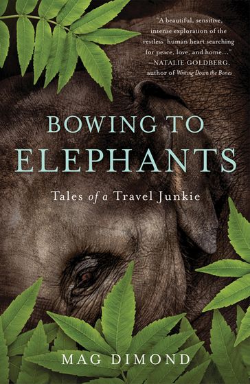 Bowing to Elephants - Mag Dimond