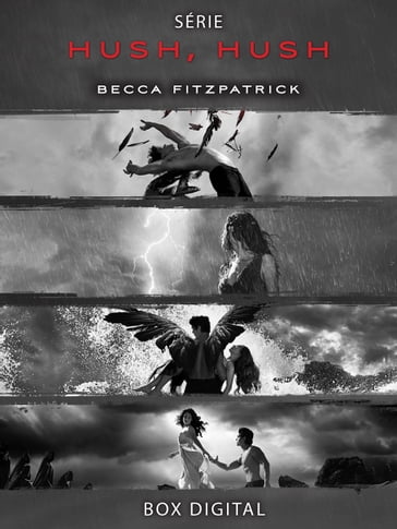 Box Hush, hush - Becca Fitzpatrick