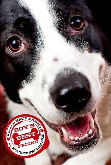 Boy's Best Friend - Kate Banks - Rupert Sheldrake