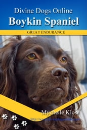 Boykin Spaniel