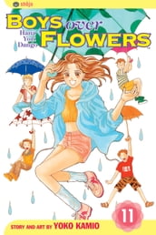 Boys Over Flowers, Vol. 11