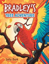 Bradley S Tree Adventure
