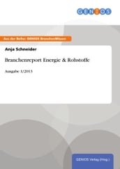 Branchenreport Energie & Rohstoffe