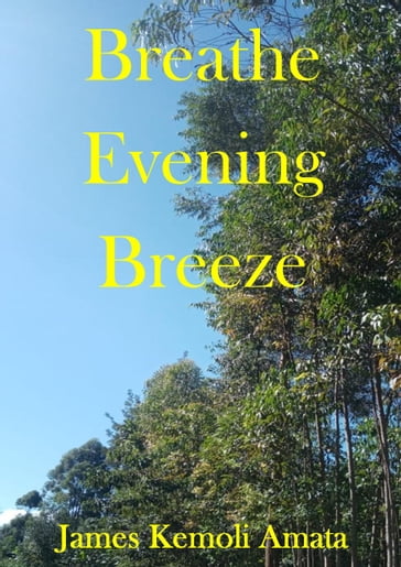 Breathe Evening Breeze - James Kemoli Amata