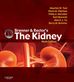 Brenner and Rector s The Kidney E-Book