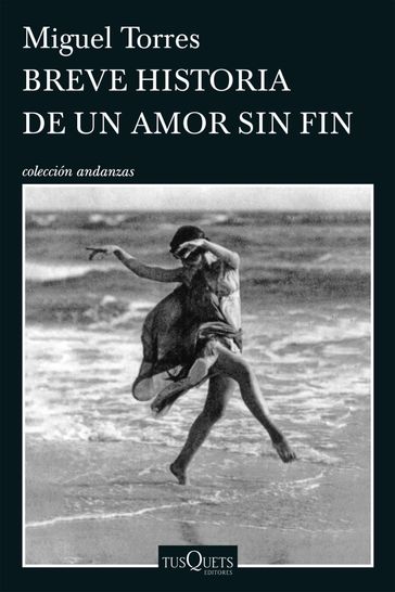 Breve historia de un amor sin fin - Miguel Torres