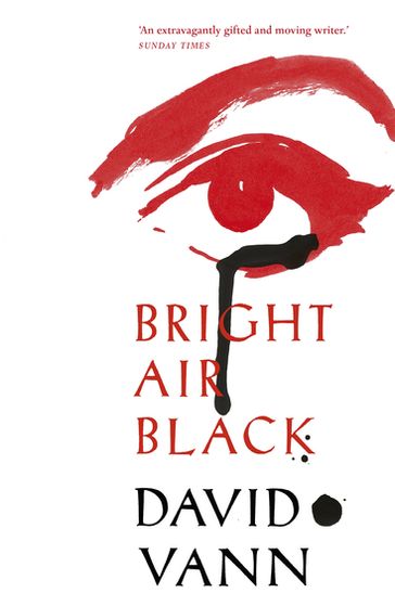 Bright Air Black - David Vann
