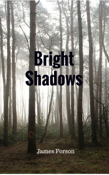 Bright Shadows - James Forson