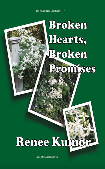 Broken Hearts Broken Promises - Renee Kumor