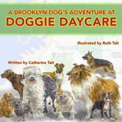 A Brooklyn Dog s Adventure at Doggie Daycare