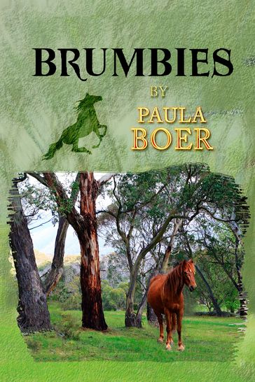 Brumbies - Paula Boer