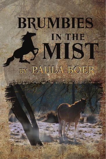 Brumbies in the Mist - Paula Boer