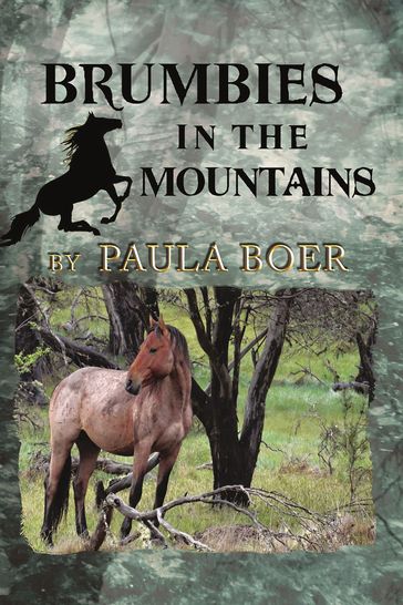 Brumbies in the Mountains - Paula Boer