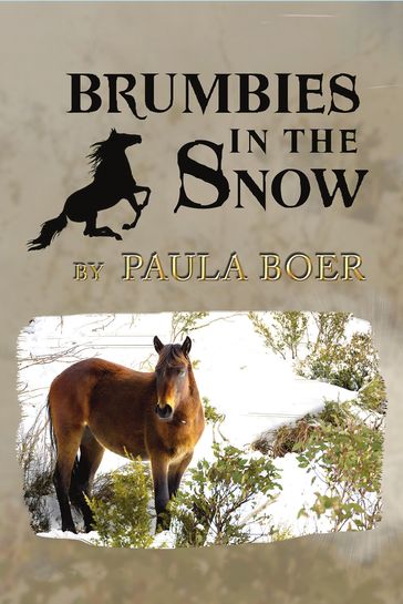Brumbies in the Snow - Paula Boer