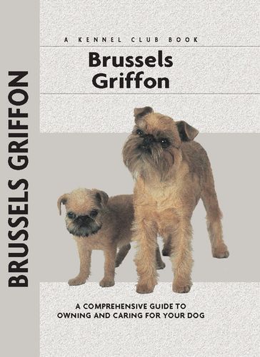 Brussels Griffon - Juliette Cunliffe