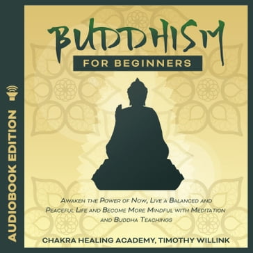 Buddhism for Beginners - Timothy Willink