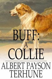 Buff: A Collie
