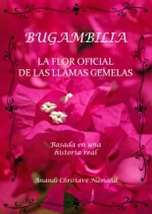 Bugambilia, la flor oficial de las llamas gemelas