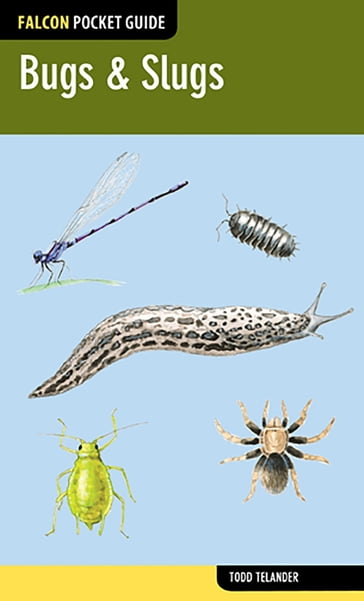 Bugs & Slugs - Todd Telander