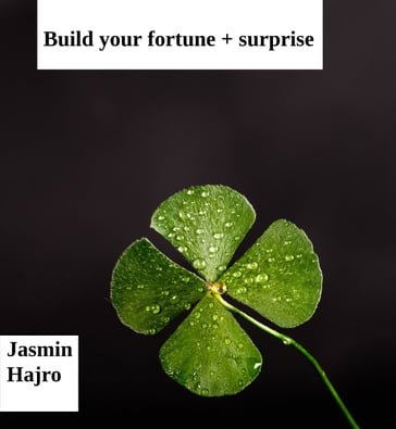 Build Your Fortune - Jasmin Hajro