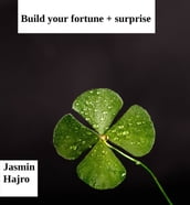 Build Your Fortune