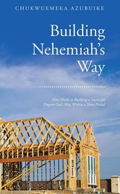 Building Nehemiah S Way