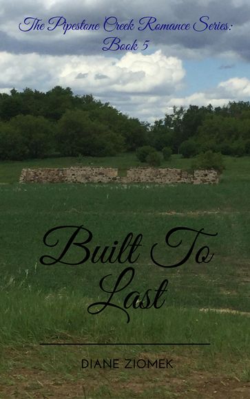 Built To Last - Diane Ziomek