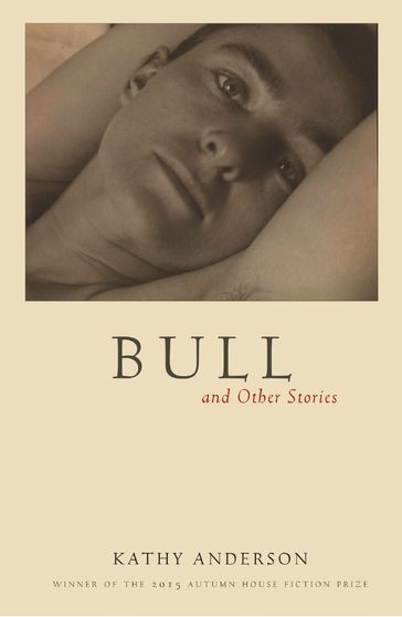 Bull - Kathy Anderson