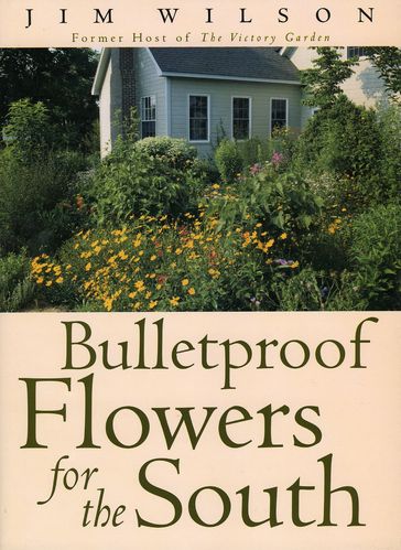 Bulletproof Flowers for the South - Jim Wilson