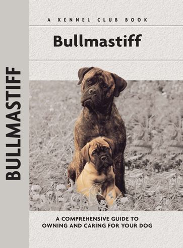 Bullmastiff - Juliette Cunliffe